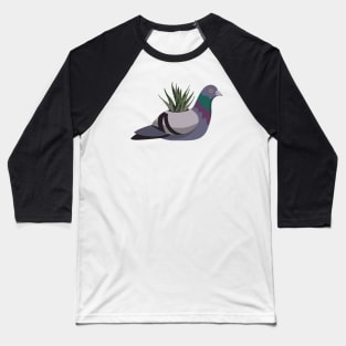 Succulent Pigeon Baseball T-Shirt